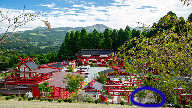 宝来宝来神社の写真