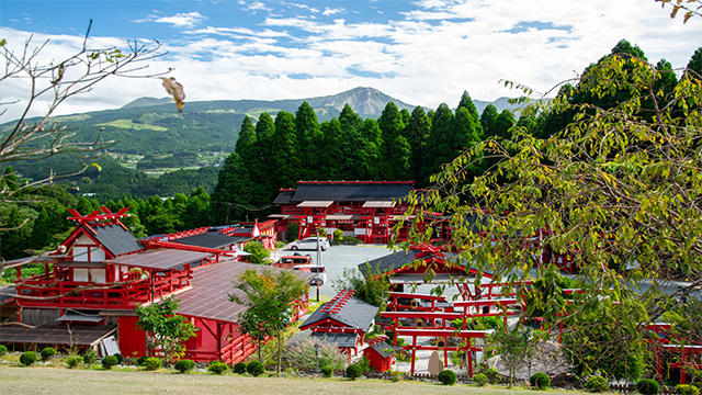 宝来宝来神社の写真