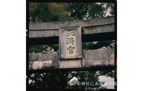 少童神社の鳥居の写真