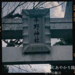 平野神社鳥居の写真