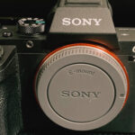 SONY α7IIの写真